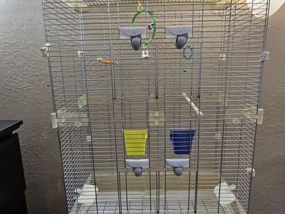 Large Vision Bird Cage