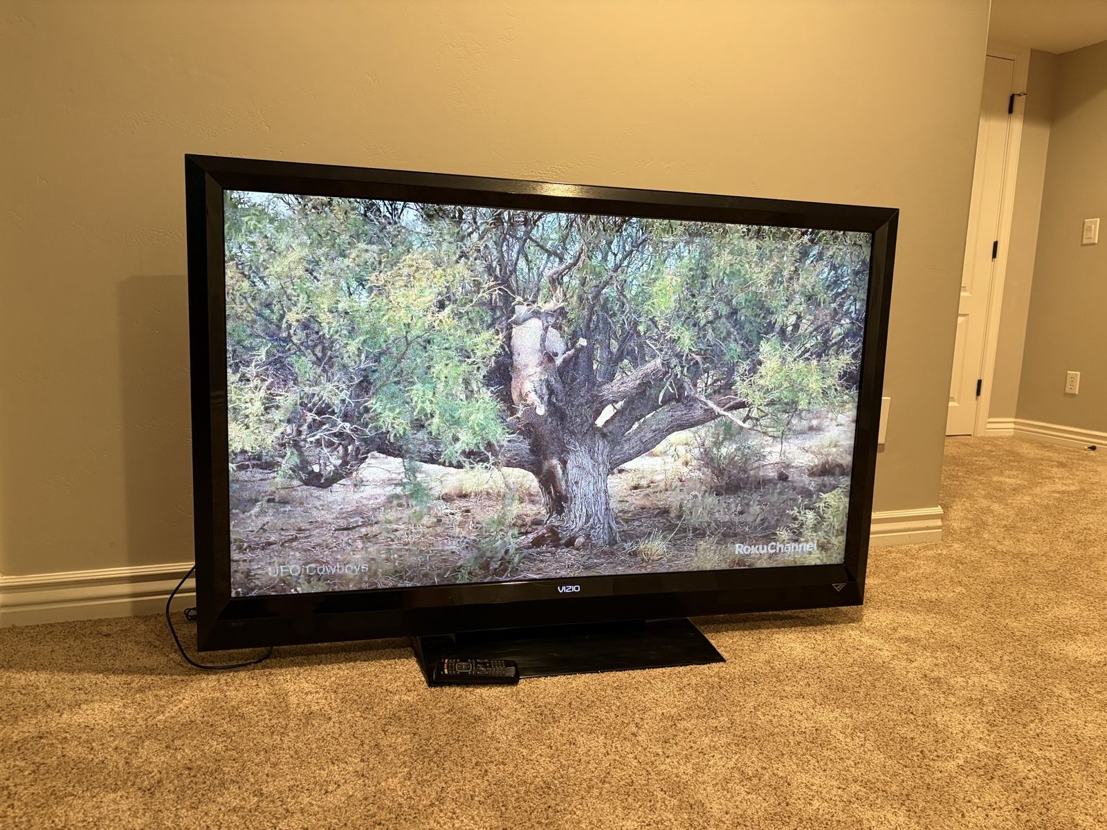 Vizio 55-inch TV