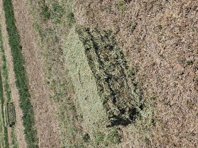 Hay!