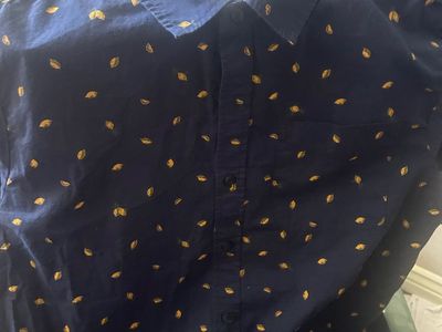Perfect Summer Shirts