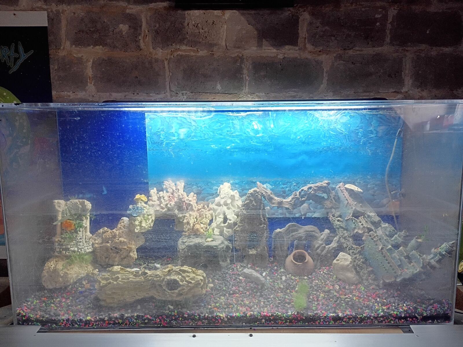 Fish tank with water pump