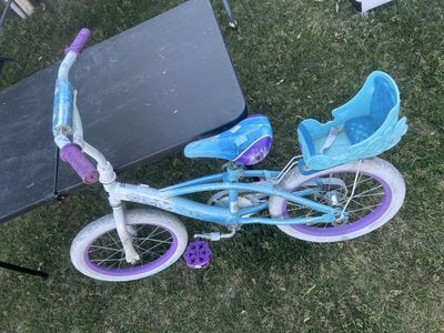 16” frozen bike