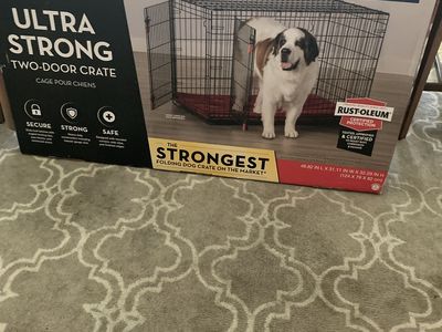 XL Kong dog crate