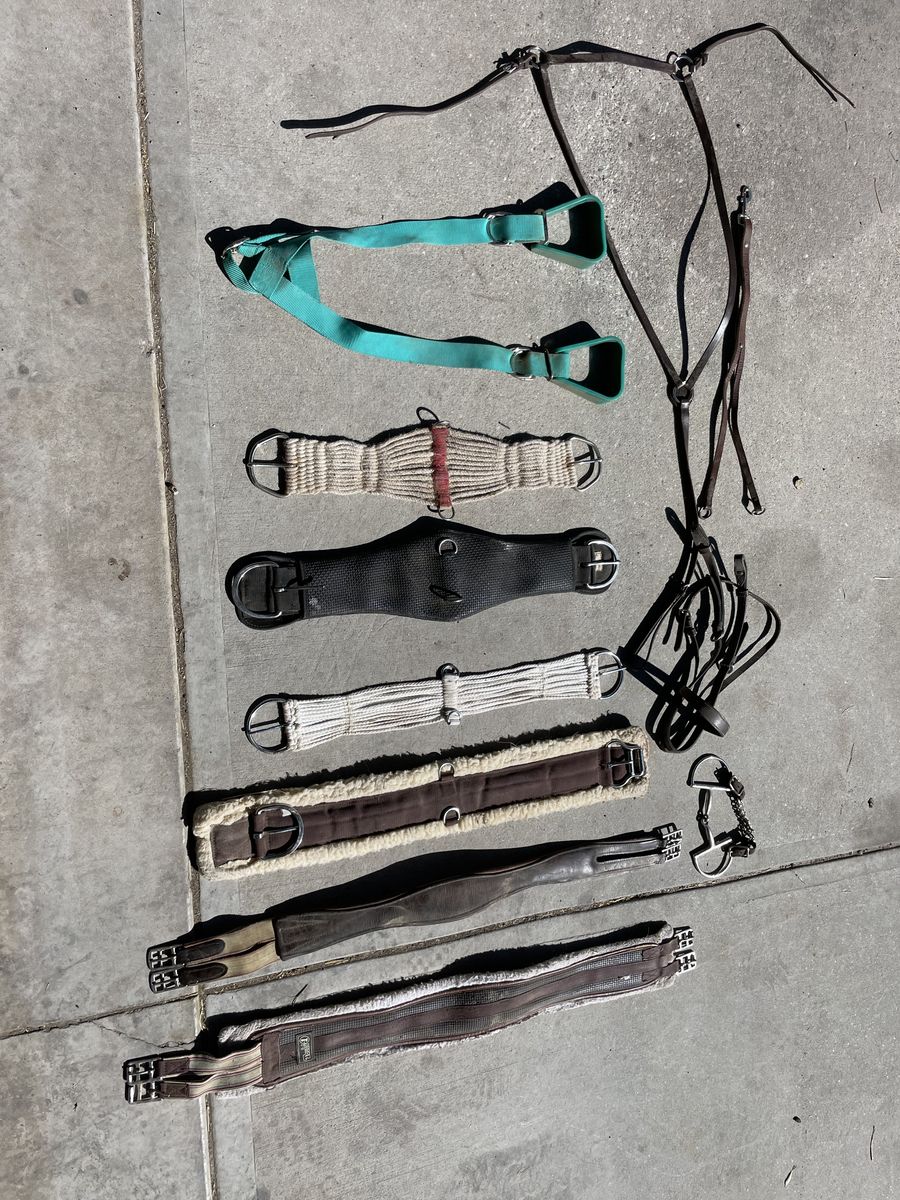 English AND Western tack for sale!