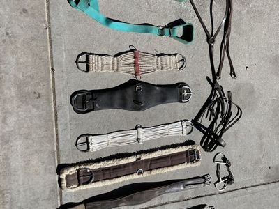 English AND Western tack for sale!