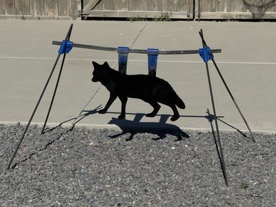 Action Target PT Coyote Gong