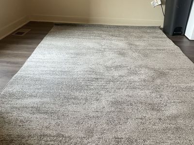 Gray Rug