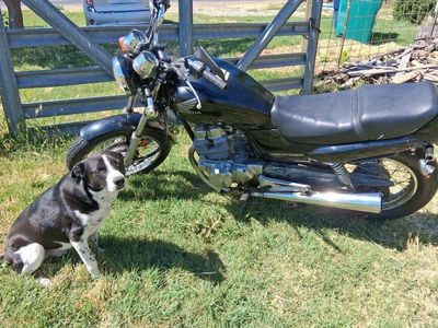 Honda Nighthawk Motorcycle