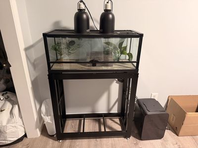 Reptile cage with accessories