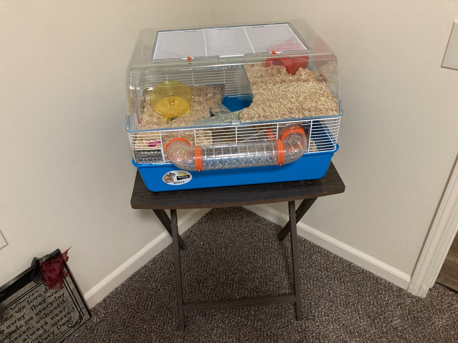 Free Hamster and Habitat