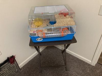 Free Hamster and Habitat