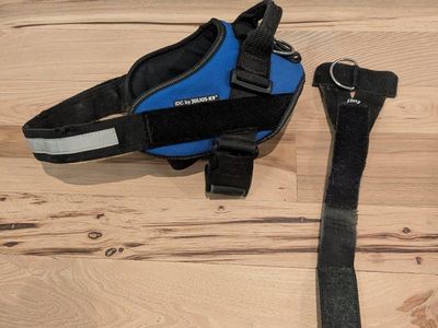 Julius K9 harness with Y belt