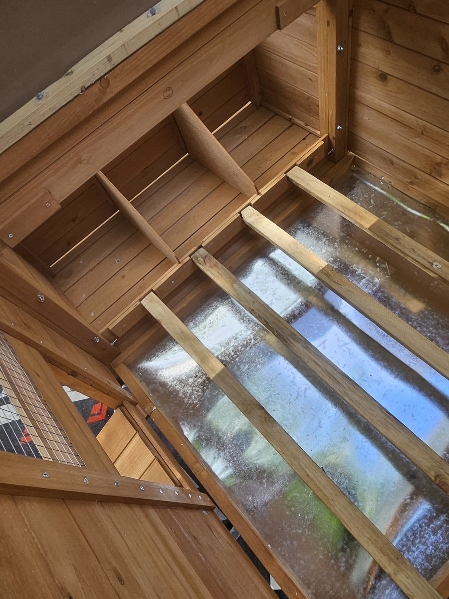 Main image 5
