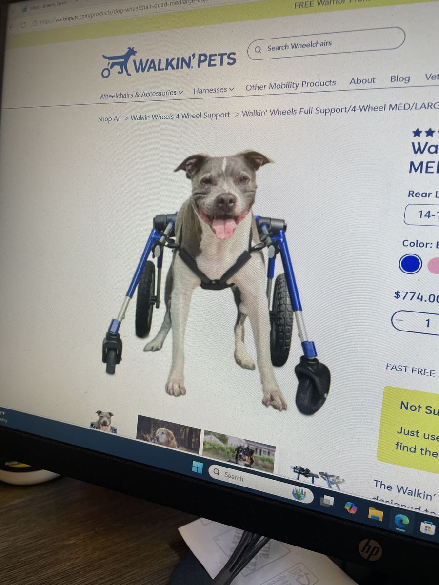 New dog walking wheels full support 4 wheelchair