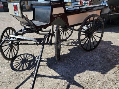 Roberts 8 Passenger Wagonette