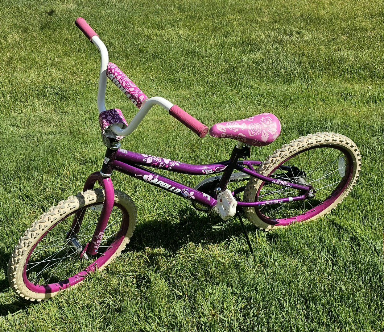 20" Apollo Bicycle