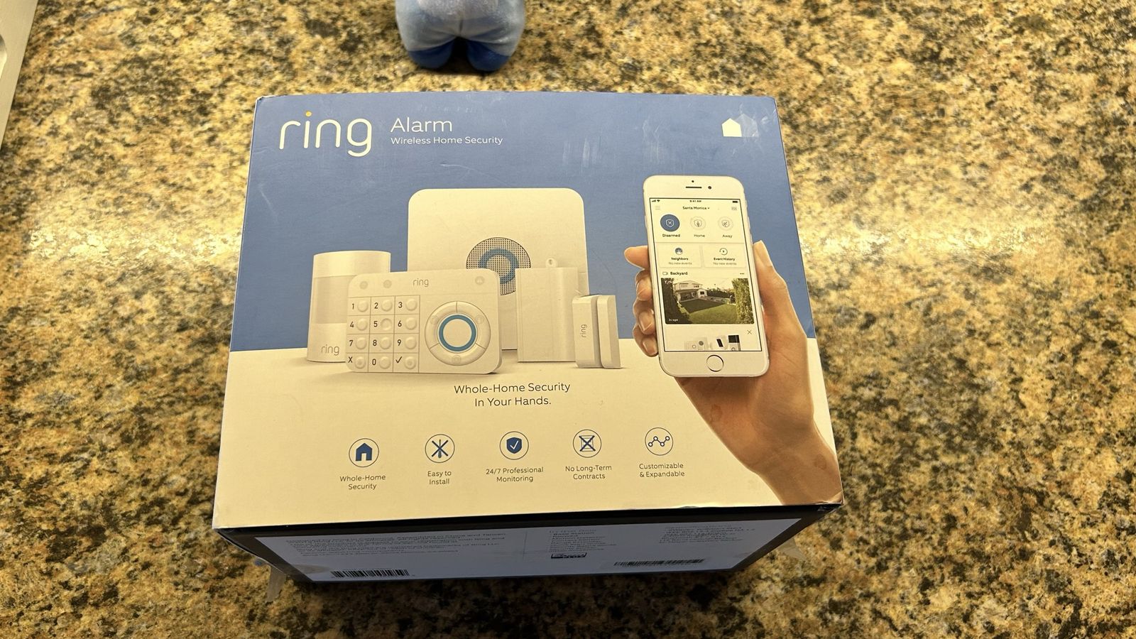 Ring Alarm System