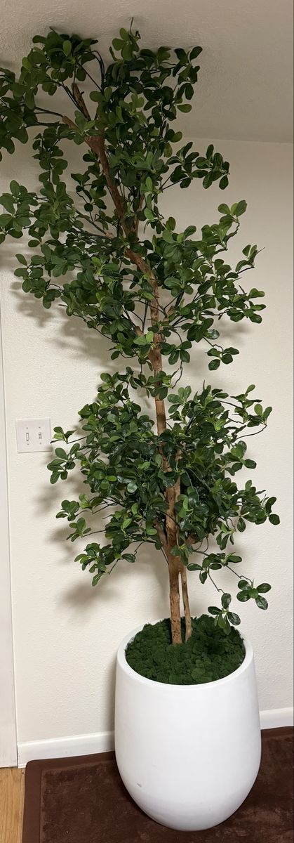 Dark olive Faux tree with heavy pot. 8.5-9ft tall
