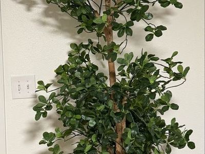 Dark olive Faux tree with heavy pot. 8.5-9ft tall
