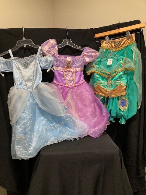 CHILD Size 4 Set.... DISNEY STORE Princess CINDERELLA, RAPUNZEL and JASMINE Set   Starting at $20