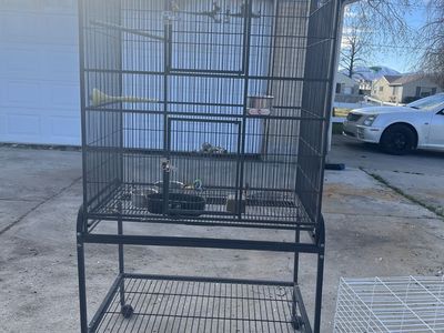 Cockatiel And Parakeet Cages