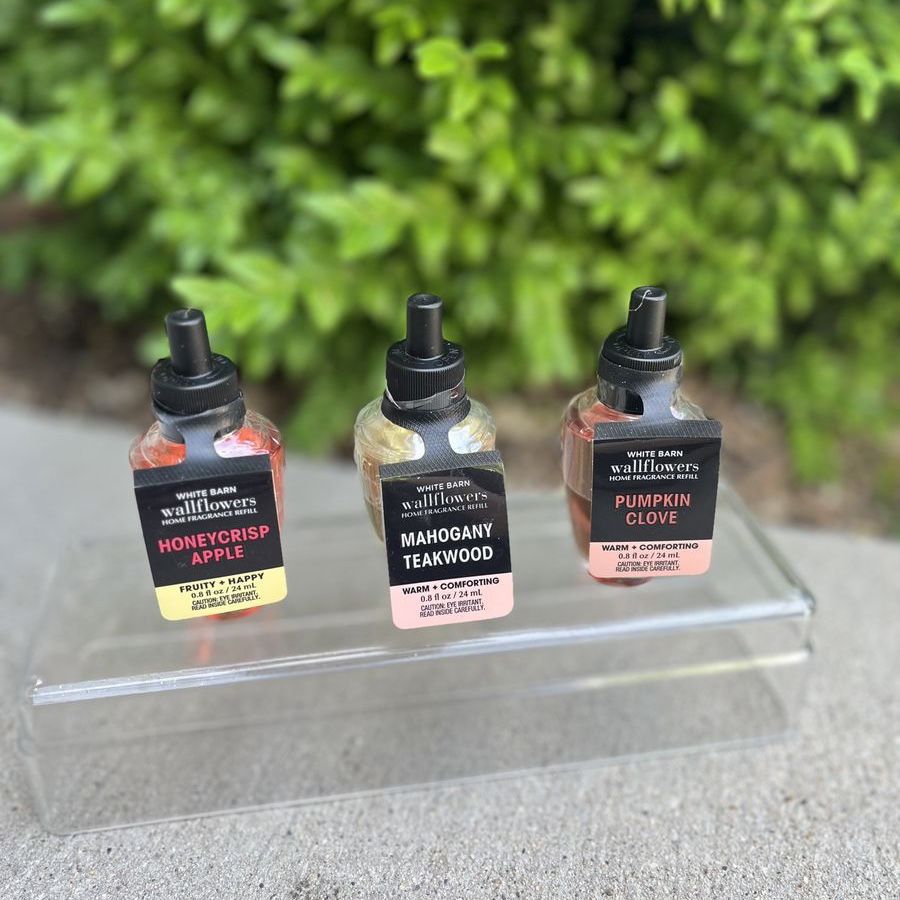 Three BNWT White Barn Wallflowers | $15 OBO