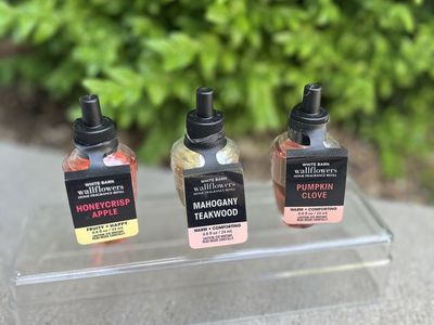 Three BNWT White Barn Wallflowers | $15 OBO