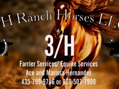 Horse Shoeing / Trimming