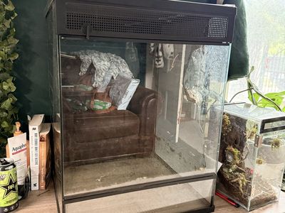 18x18x24 Glass Terrarium