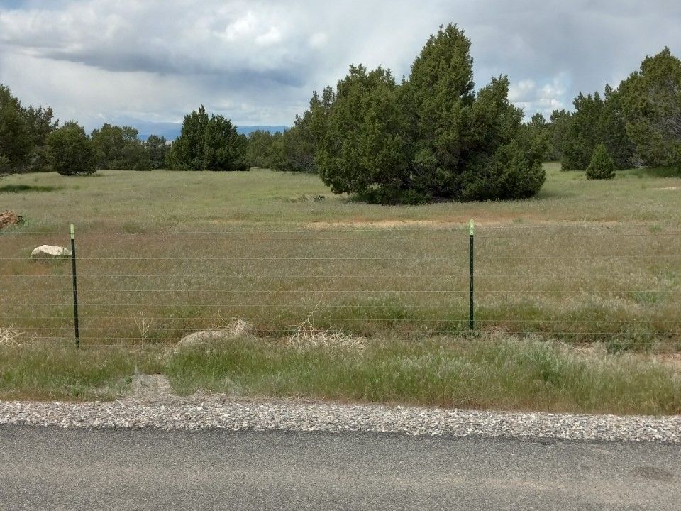 Main image 10