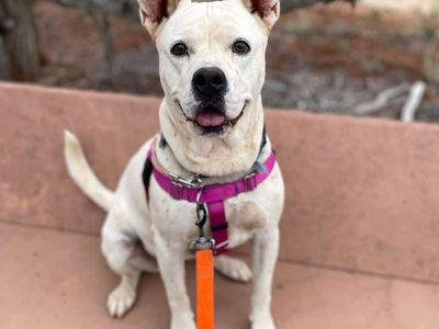 Hello my name is Patti Mayonnaise