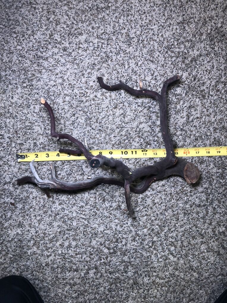 Hardscape Wood - Manzanita, Spider Wood