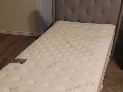 Saatva Classic twin xl mattress and bed frame