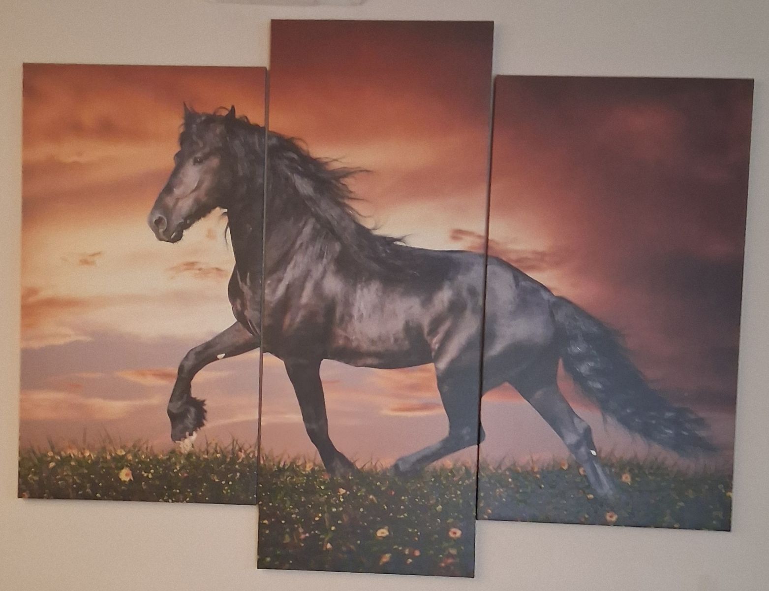 Horse Art