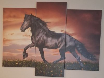 Horse Art