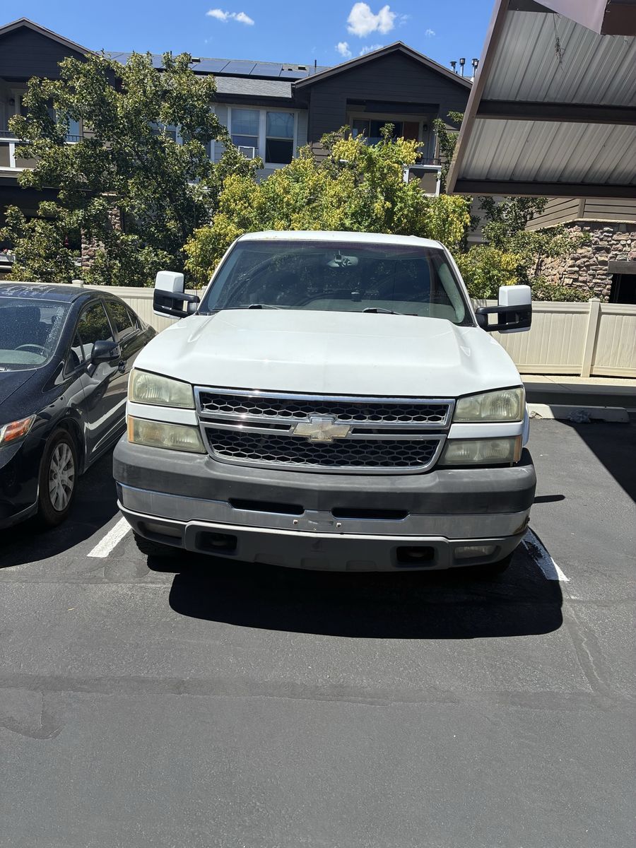 Main image 11
