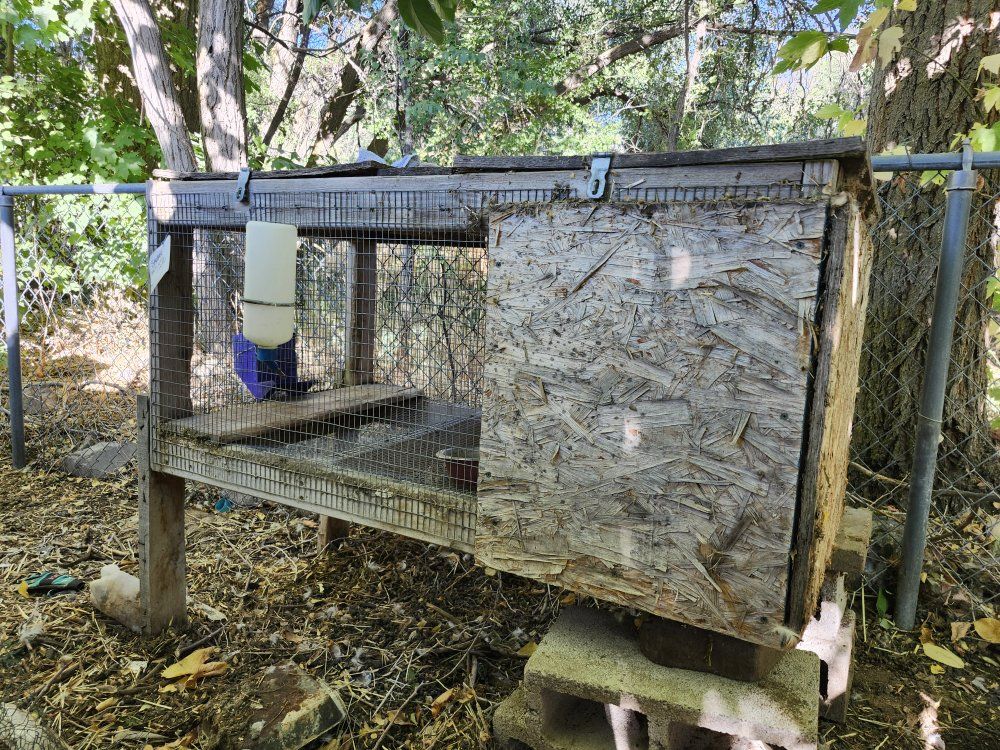 Used Rabbit Hutch with Feeder and Water Bottle - Good Condition Outdoor Pet Cage