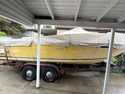 1979 Sea Ray Boat