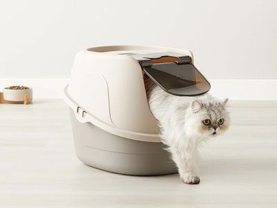 Covered Cat Litter Box with Hood and Swinging Door - 21x16x15 inch - Stain & Odor Resistant