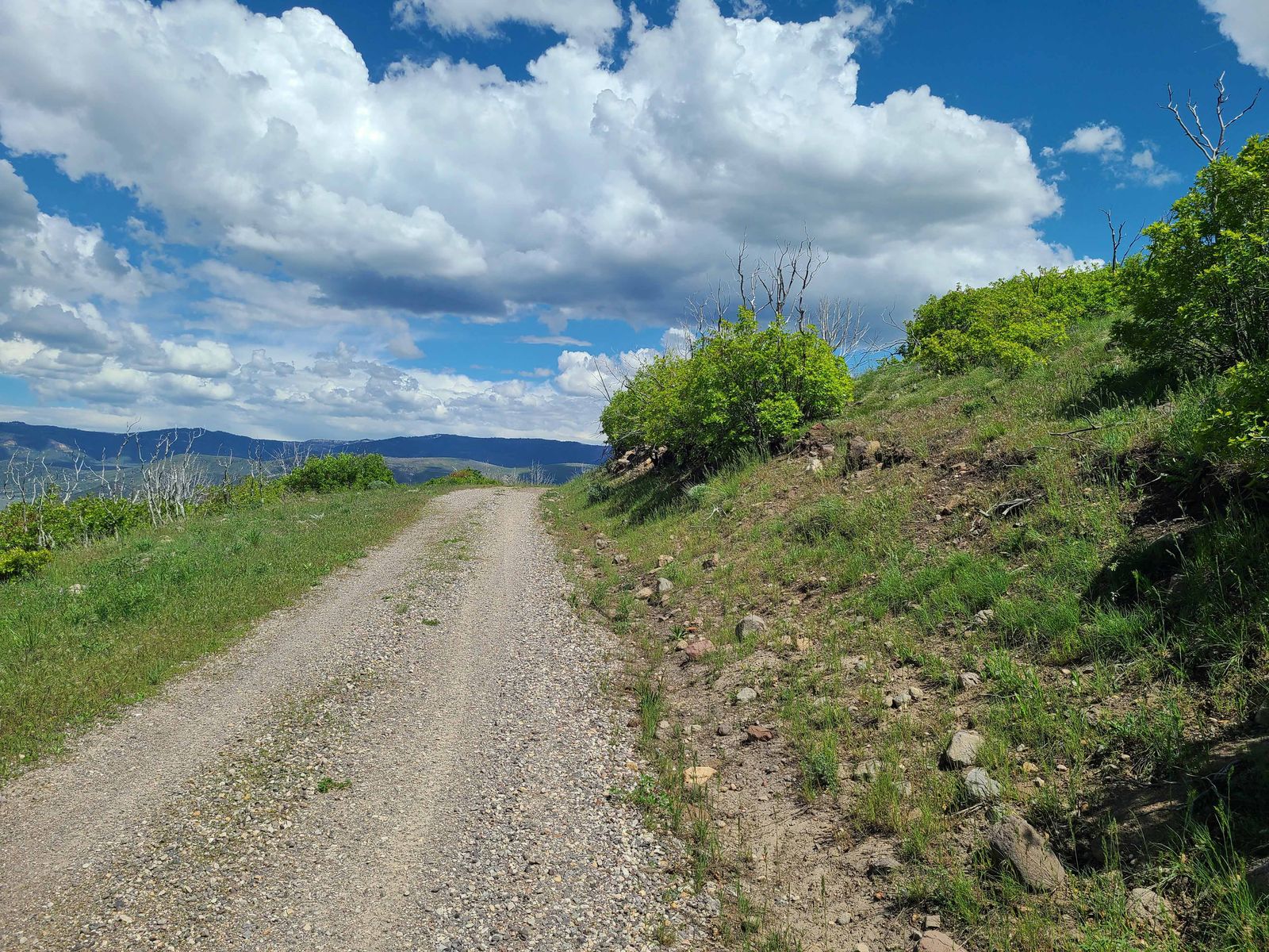 Indian Ridge Lot C5 For Sale