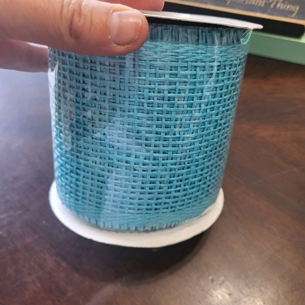 Turquoise Paper like Mesh Ribbon.