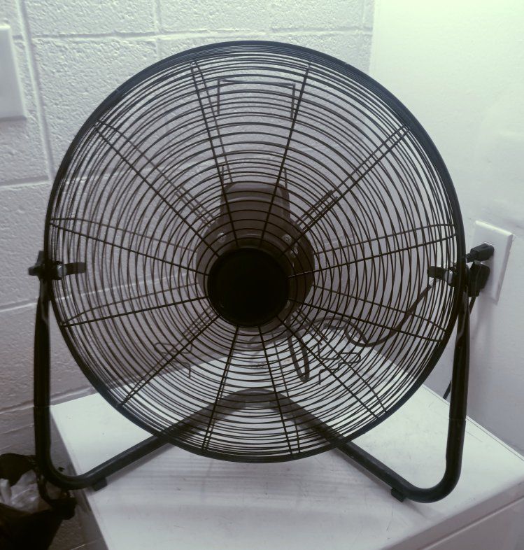 fan