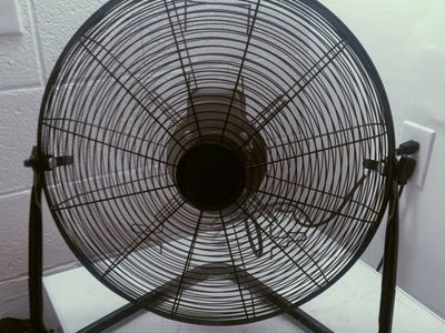 fan