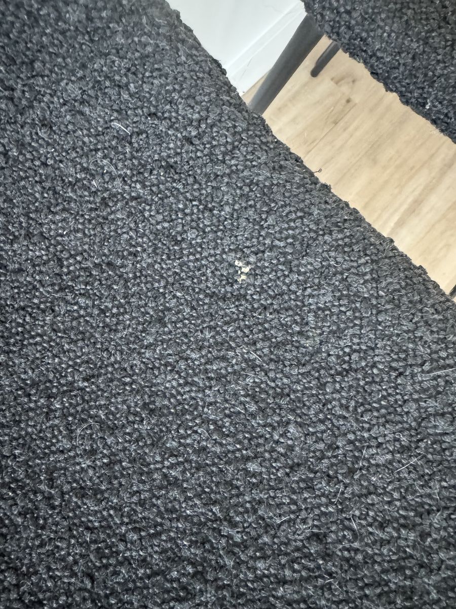 Main image 6