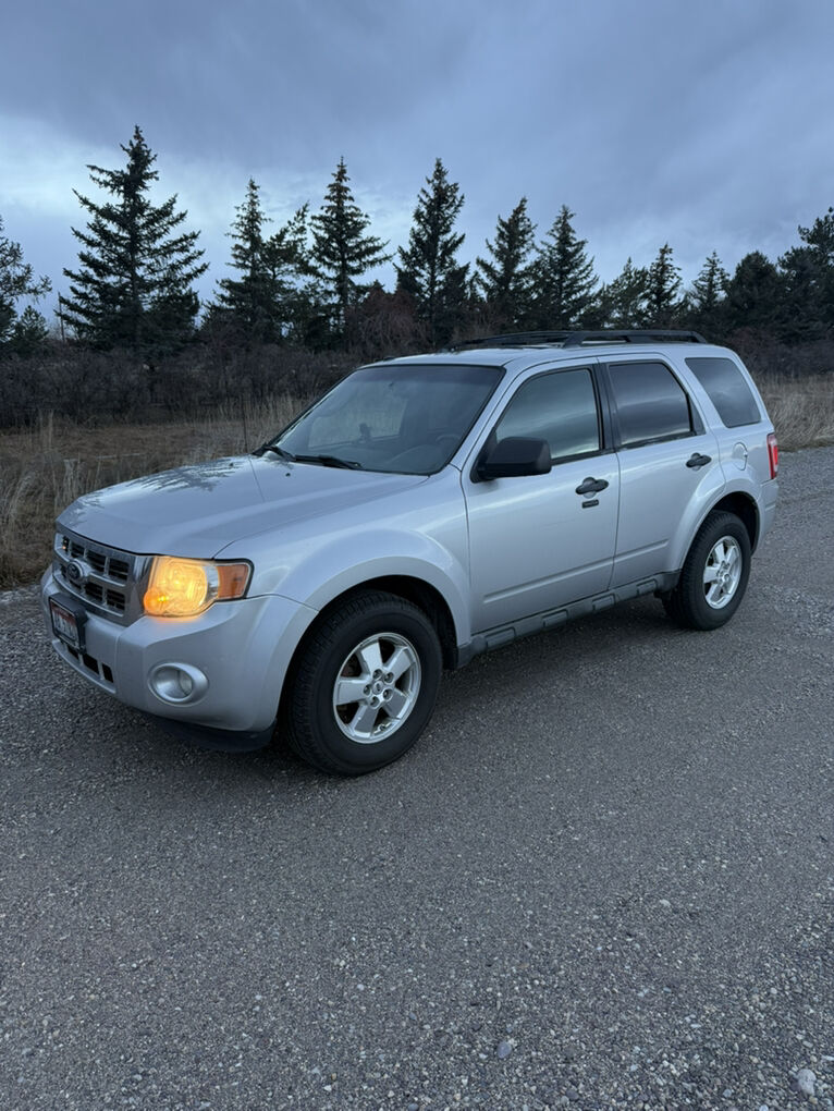 2011 FORD ESCAPE XLT