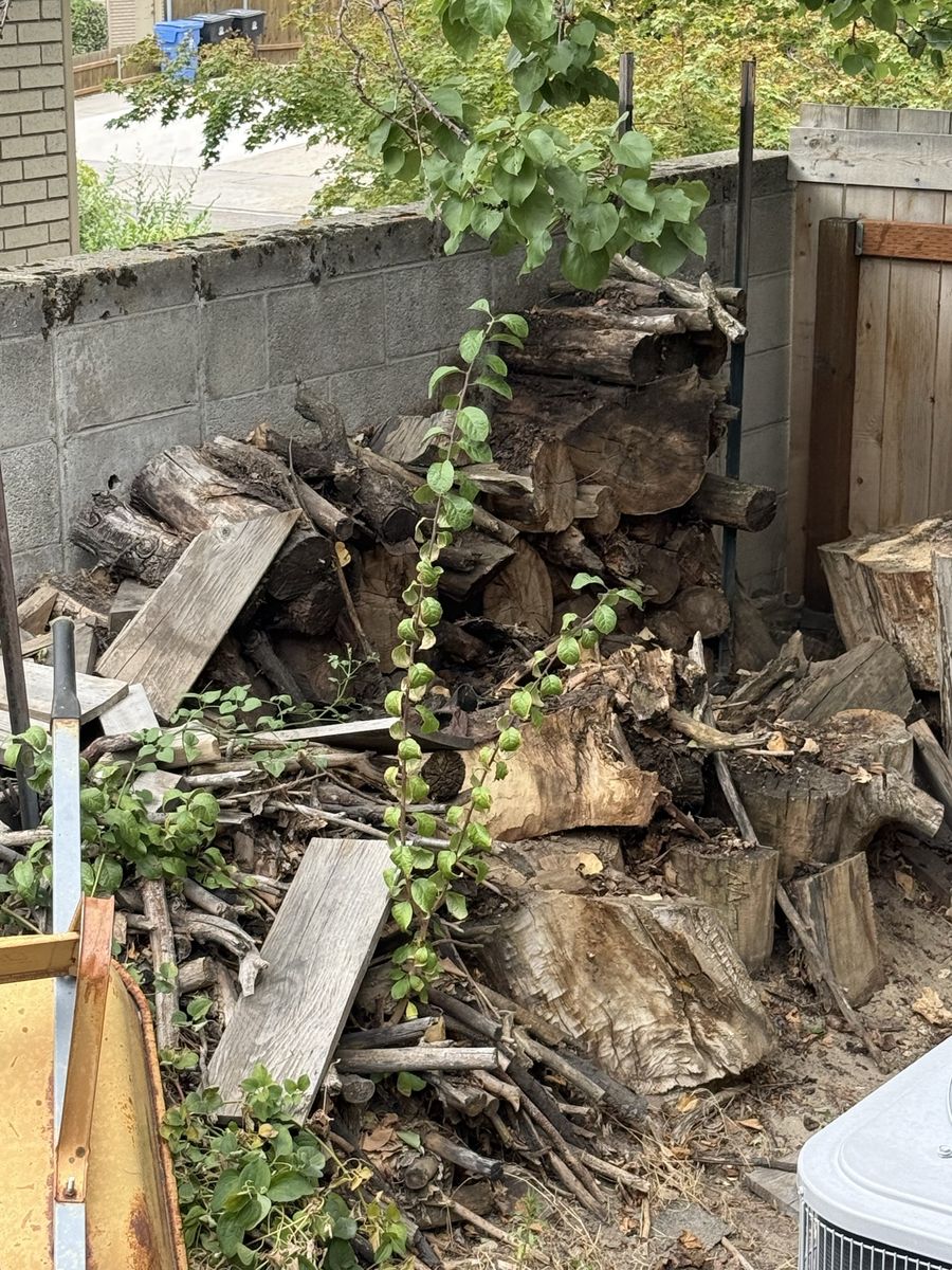 Free Fire Wood
