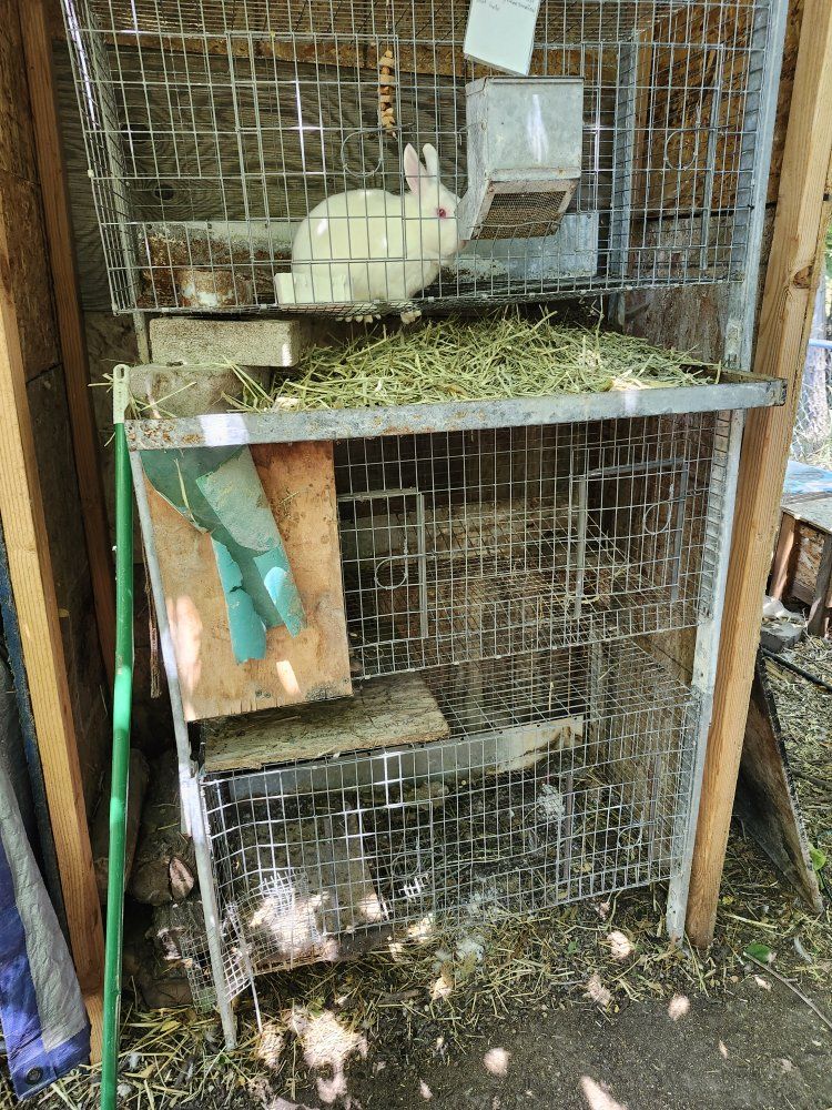Rabbit Hutch - 3-Tier Cage for Rabbits, Guinea Pigs, or Small Animals