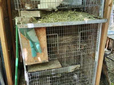 Rabbit Hutch - 3-Tier Cage for Rabbits, Guinea Pigs, or Small Animals