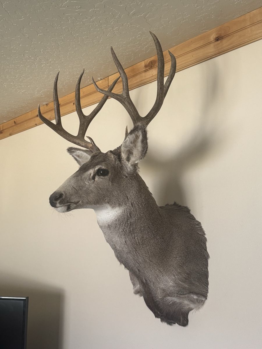 Buck Mount