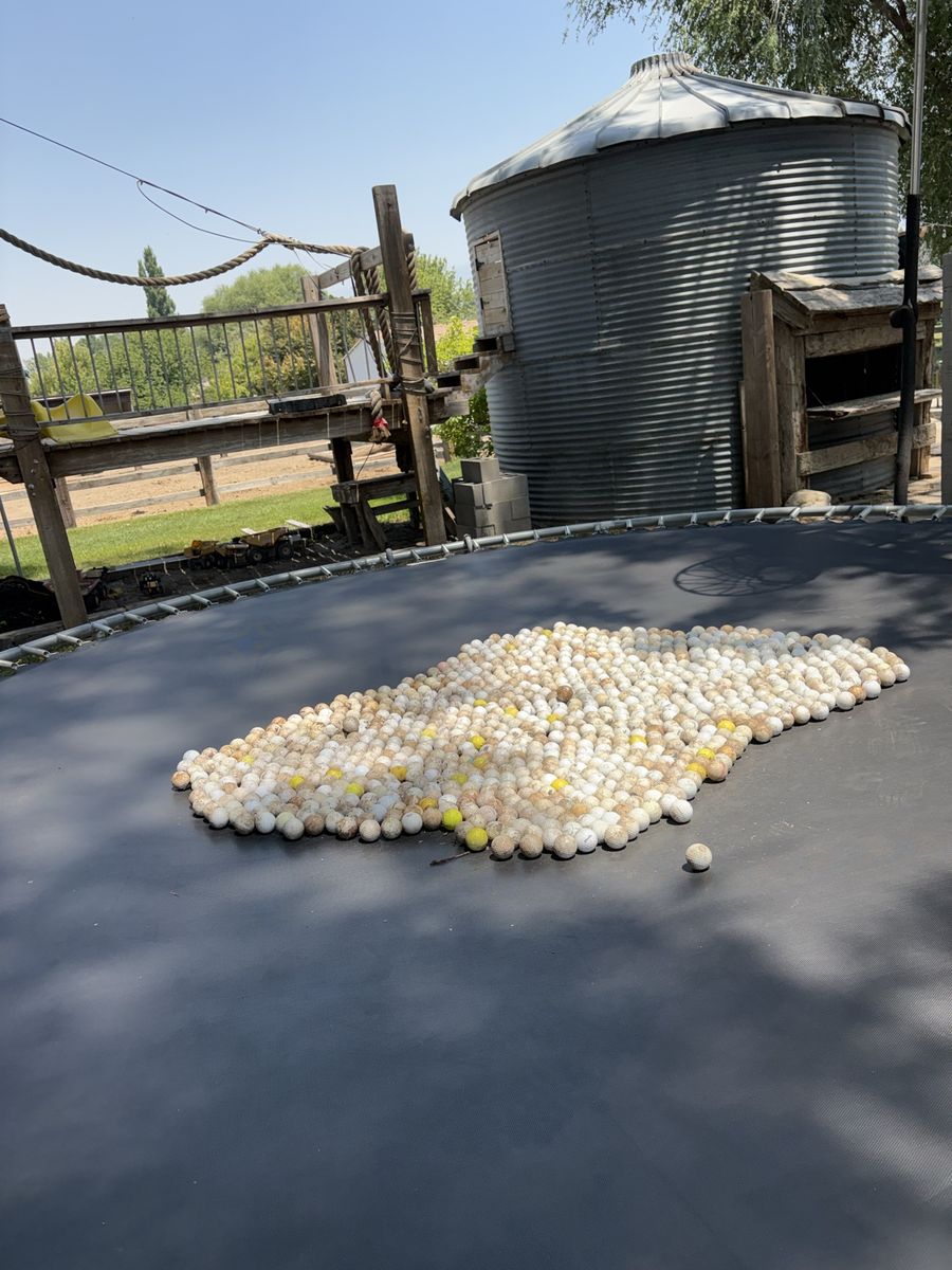 GOLF BALLS NEED GONE